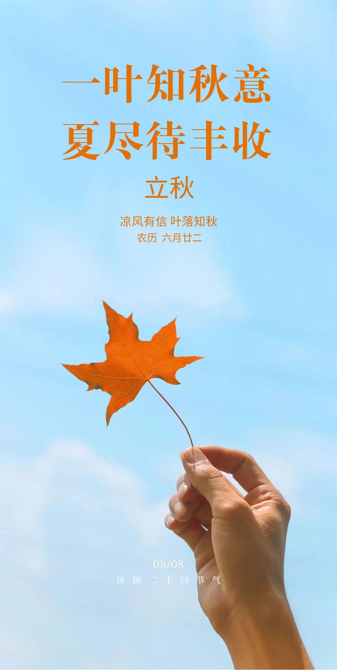 立秋